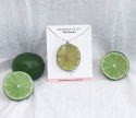 Naszyjnik "Lime Twist"